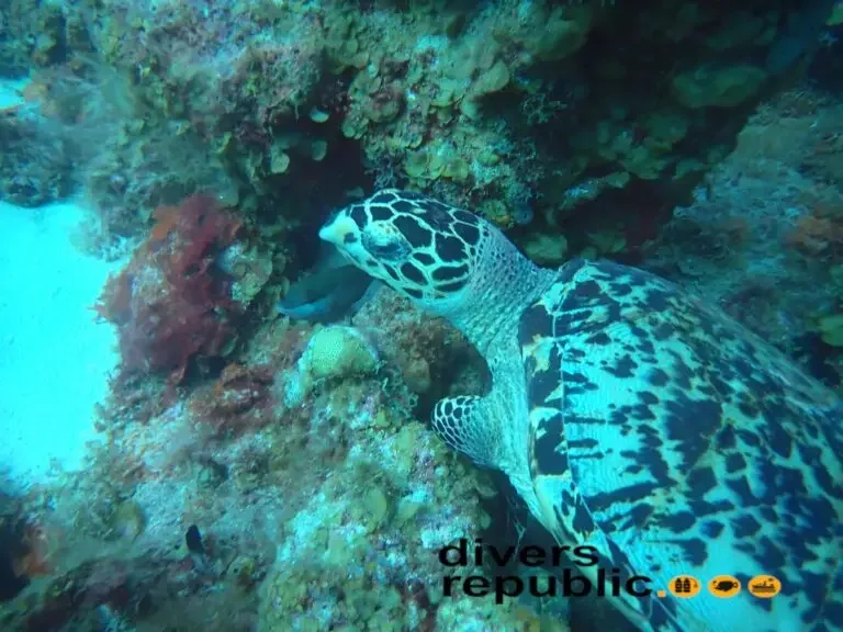 Foto 6