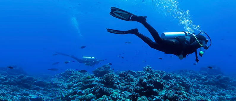 Divers Pro World