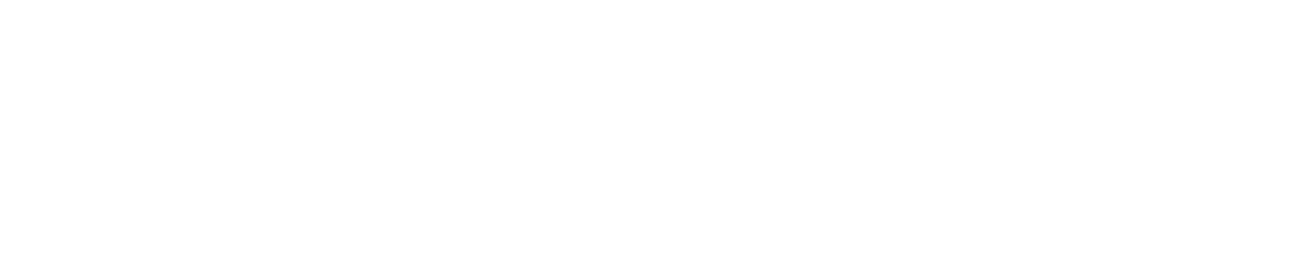 TOURNIER DIVERS logo