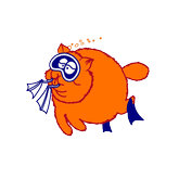 Red Sea Blue Paradise logo