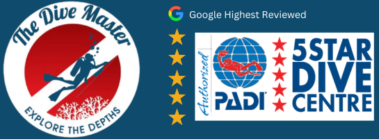The Dive Master logo