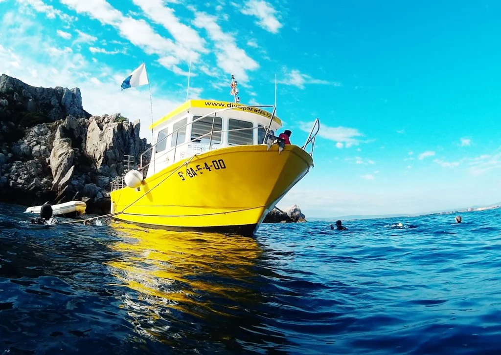 DIVE PARADIS