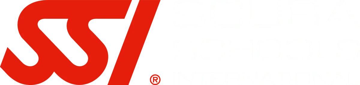 Dive Systems Malta logo