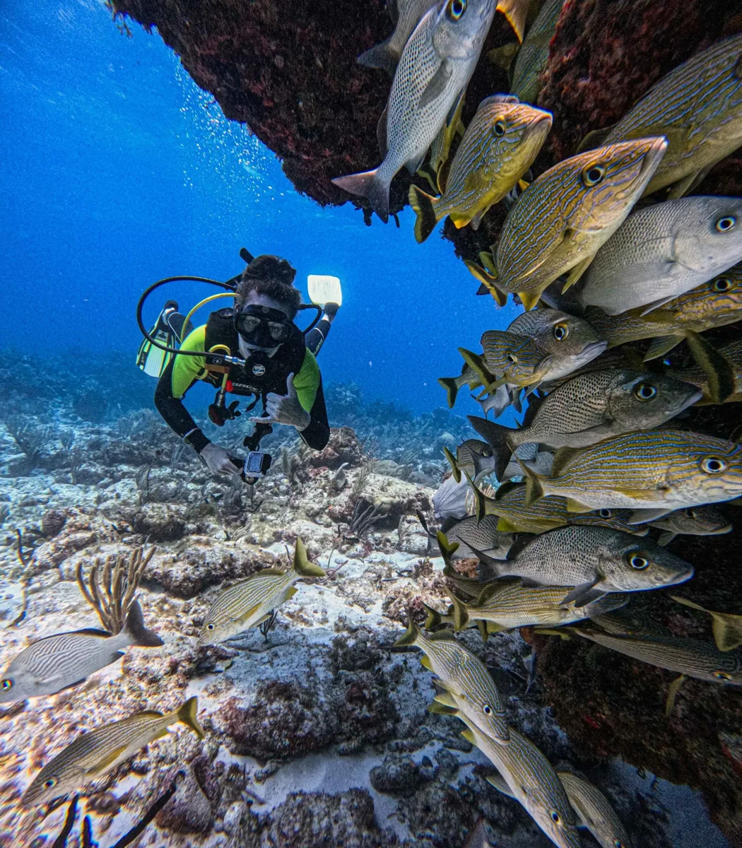 Rescue Diver