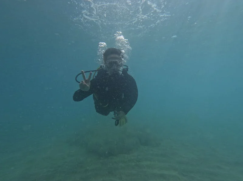 Tenerife Dive Experience - Buceo y snorkel en Costa Adeje logo