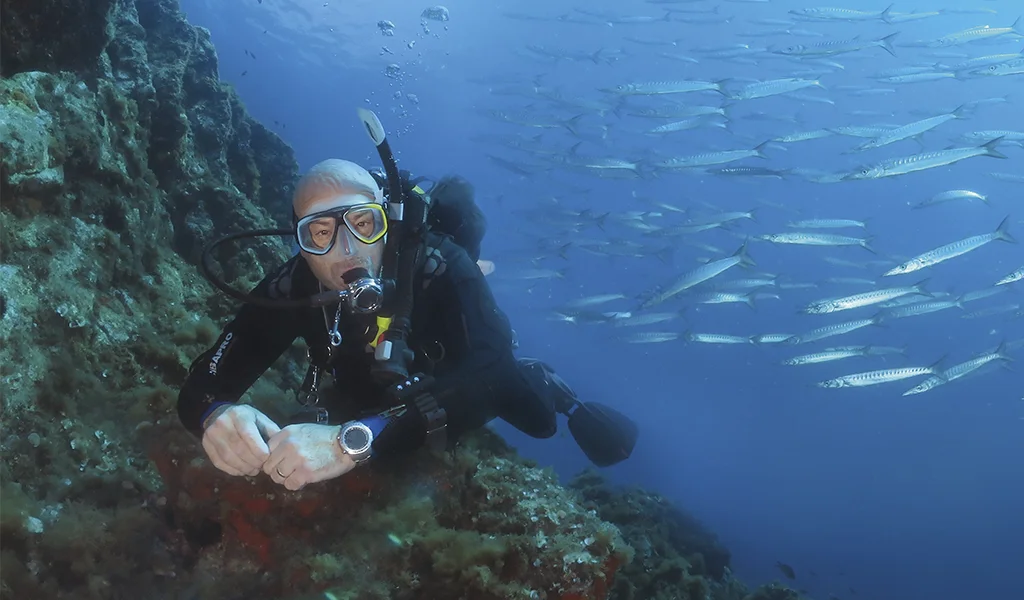 DIVERTYSUB, ESCUELA DE BUCEO