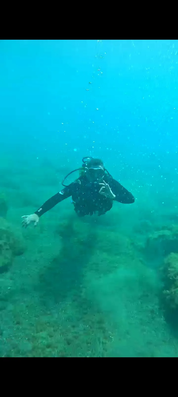 Centro de Buceo El Bajón logo
