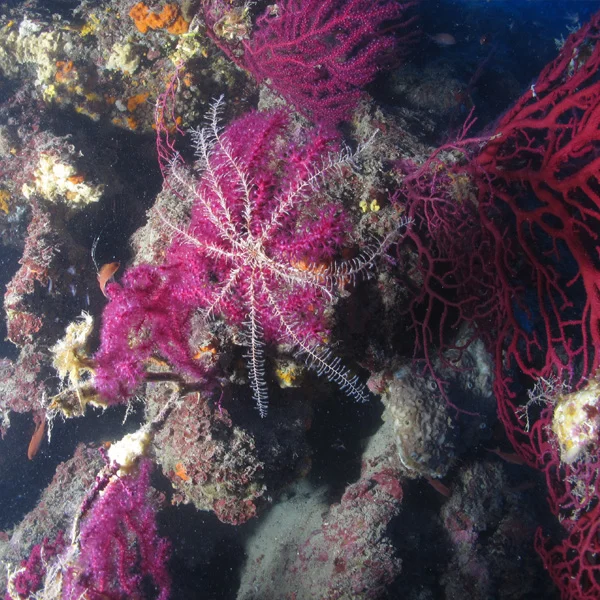 Foto 9