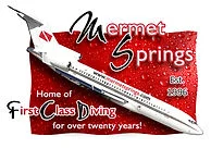 Mermet Springs Inc logo