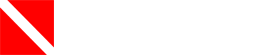 NTW logo