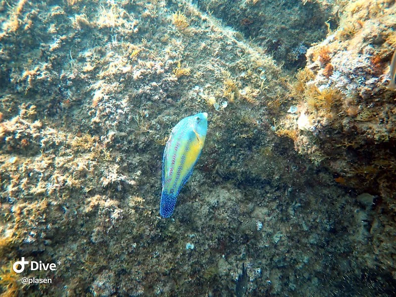 Foto 3