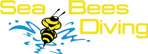 Sea Bees Diving Khao Lak logo