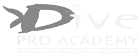 Dive Pro Academy logo