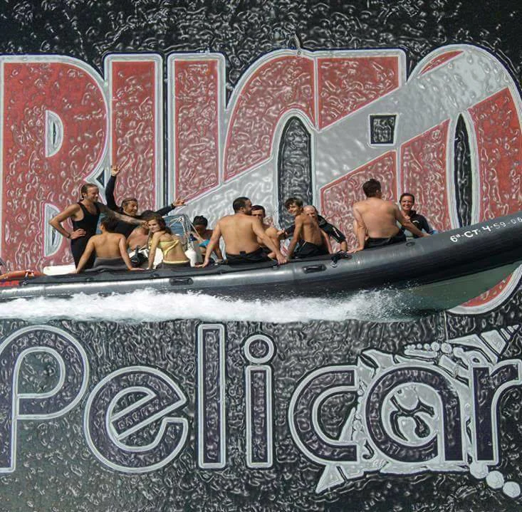 BUCEO PELICAR logo