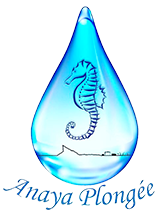 Anaya Plongée logo