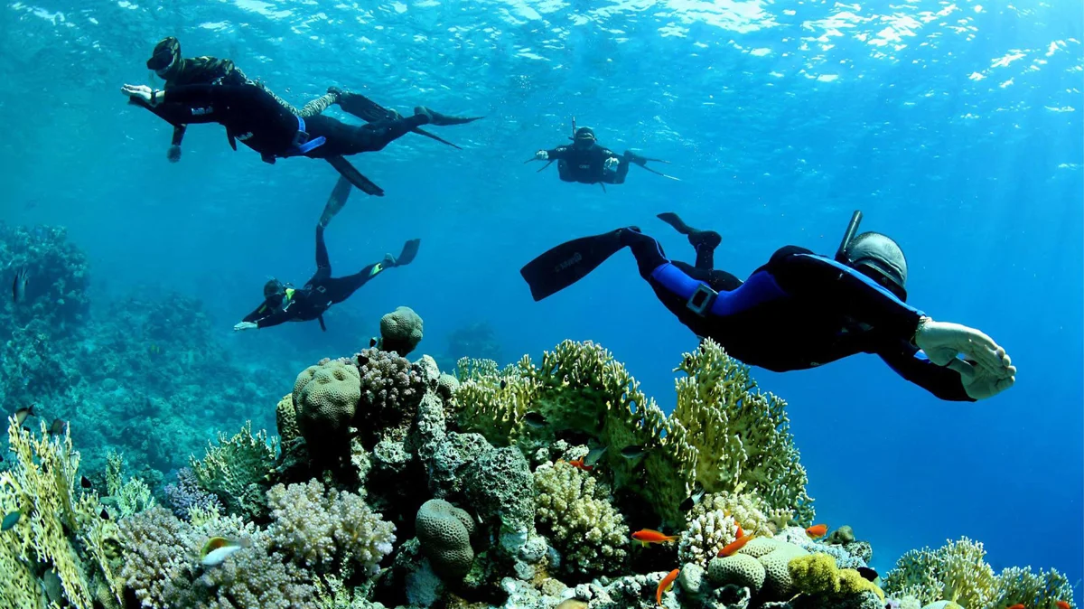 SUTTAKKUA Diving Center