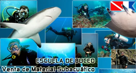 Proel Diving