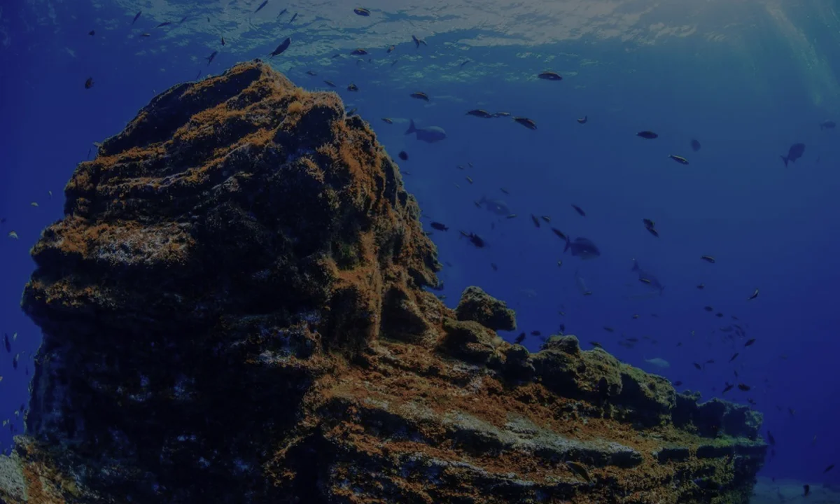 TAGORO DIVE | Centro de buceo 5* El Hierro