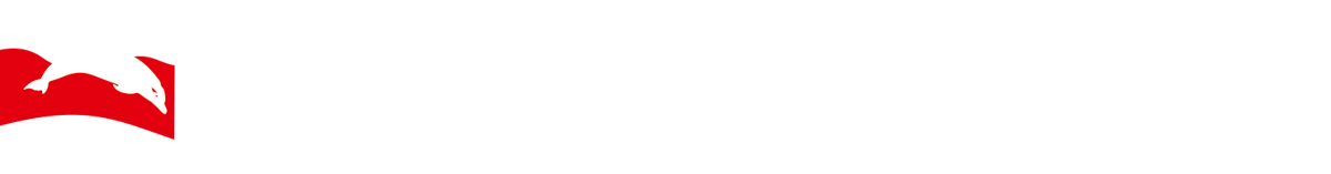 BDOds Diving School logo