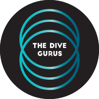 The Dive Gurus logo