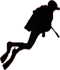 WE SHALL SEA logo