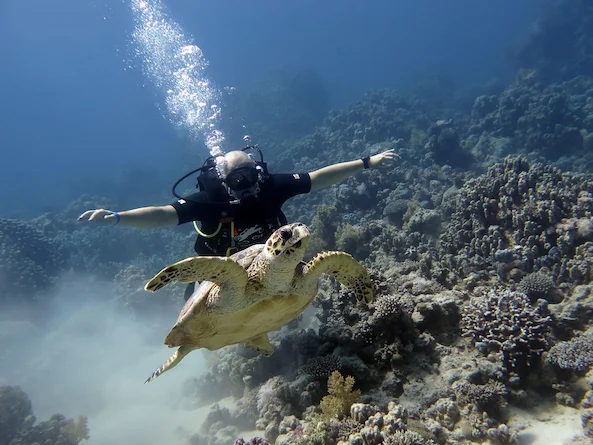 Aquarius Diving Club - Hurghada