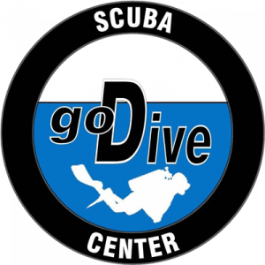 GODIVE logo