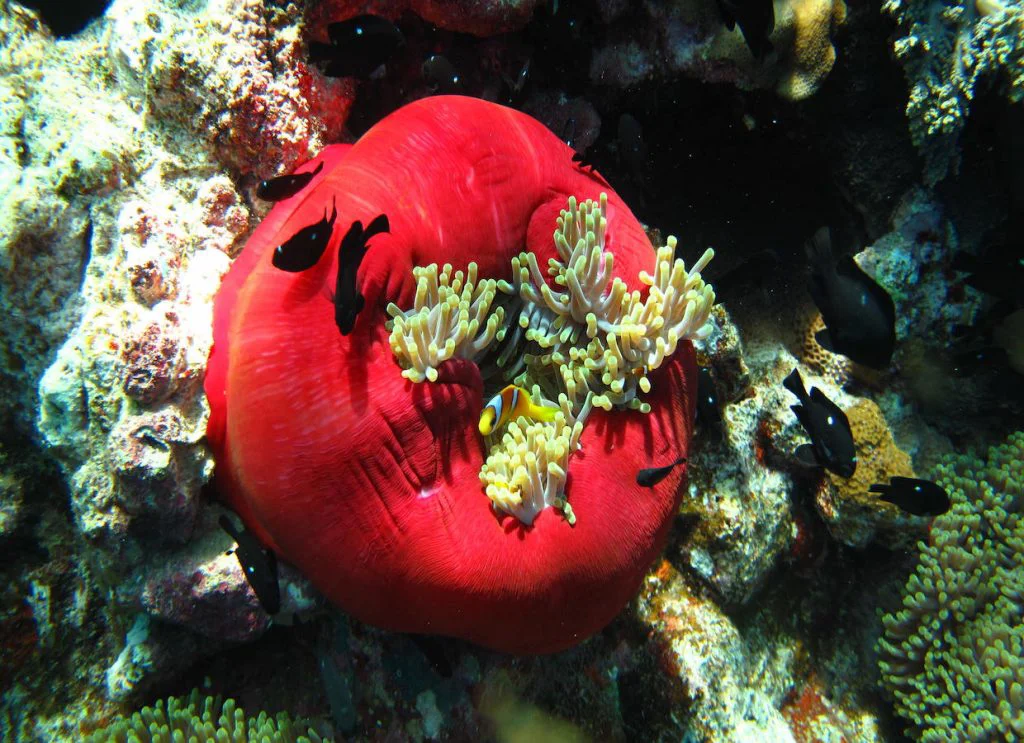 Foto 5