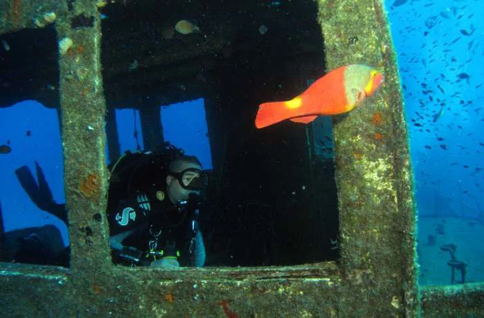 Foto 6