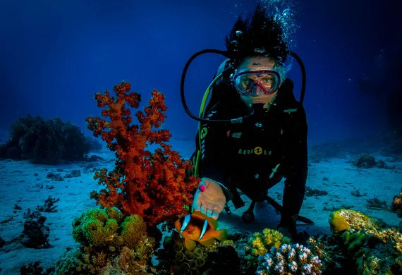 Foto 4