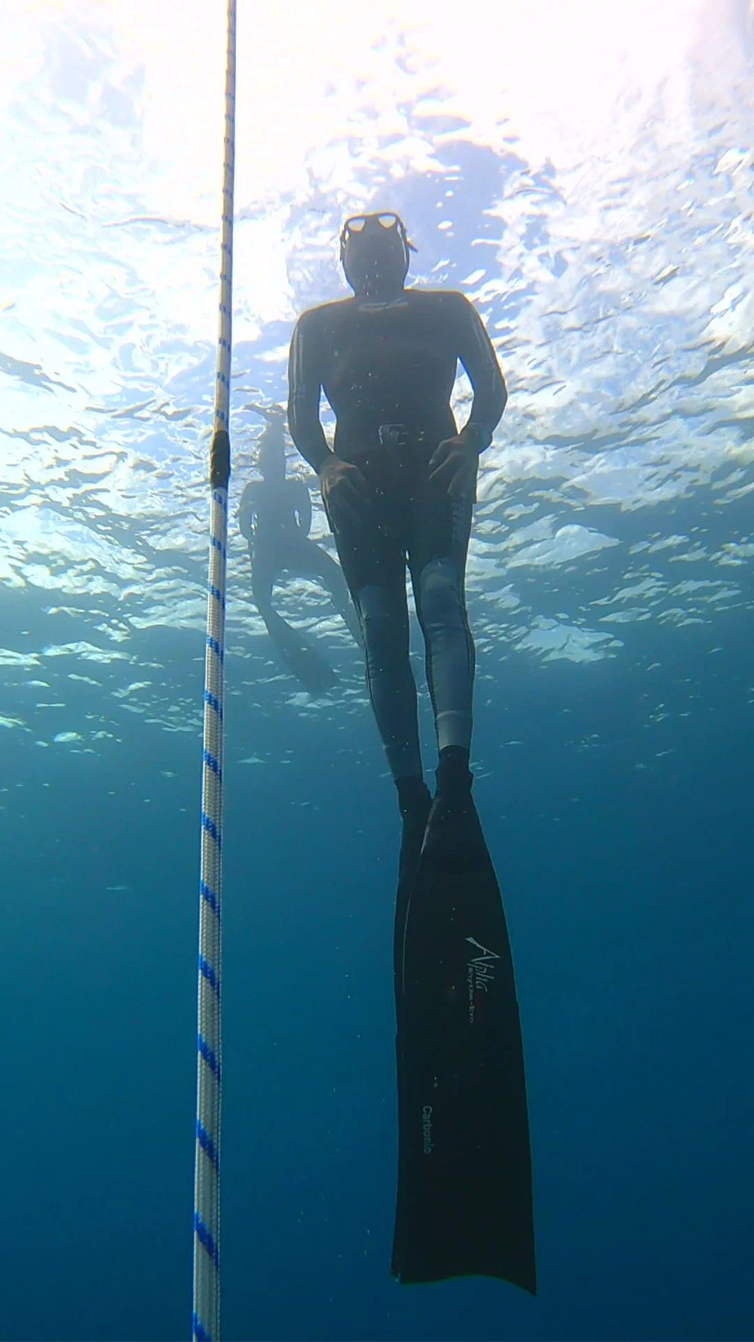 Stator Tenerife - Freediving & Spearfishing