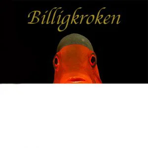 Oslofjorden Dykkesenter. AS logo