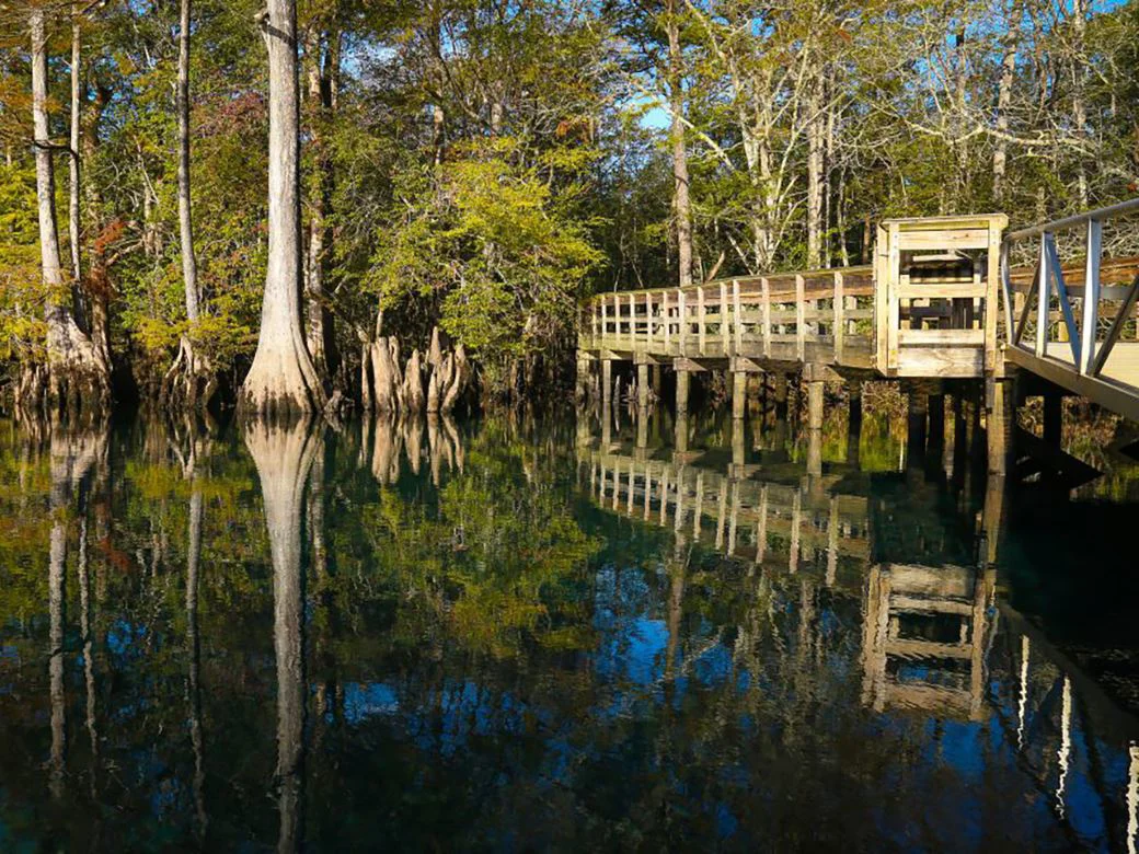 Morrison Spring