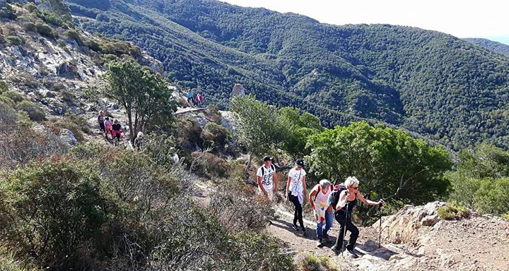 Foto 12