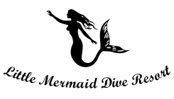 Little Mermaid Dive Resort logo
