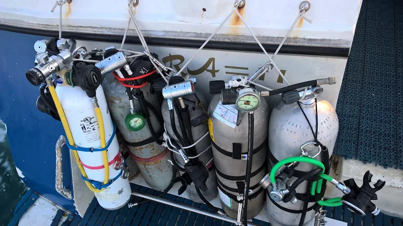 C.A.S. Friends of diving
