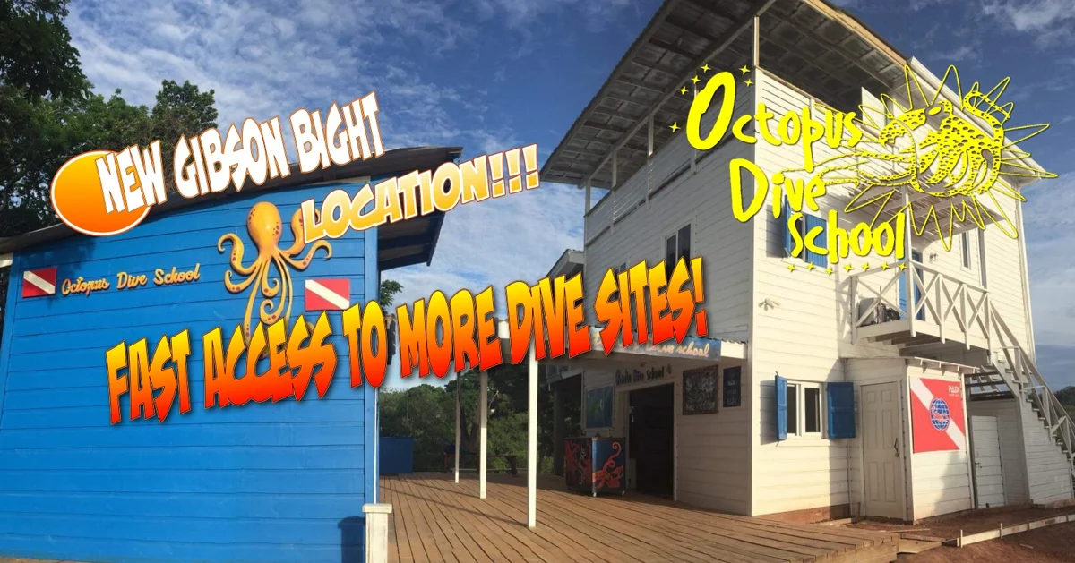 OCTOPUS DIVE SCHOOL