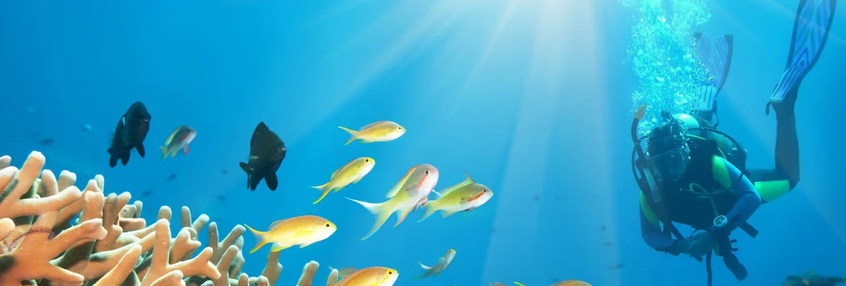 Фото 5