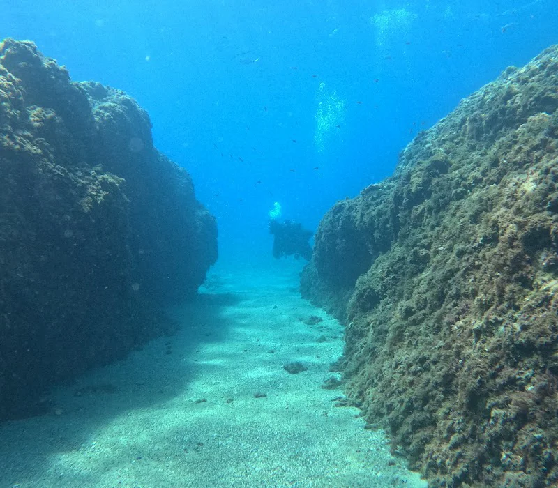 Eco&Dive Escuela de buceo en Málaga
