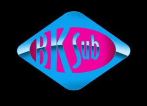 Balkysub logo