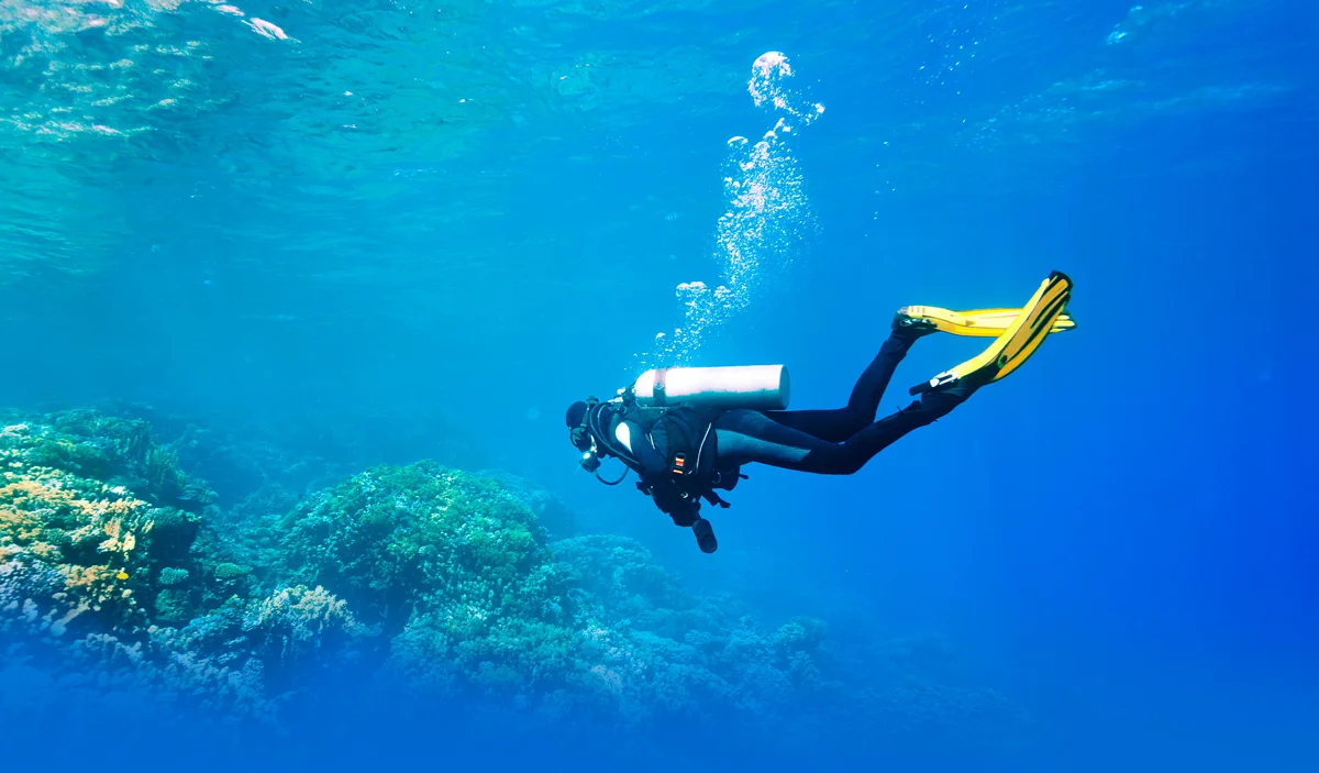 Basic Diver