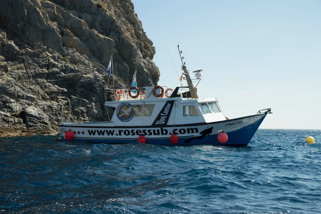 ROSES SUB