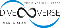 The Divers Universe logo