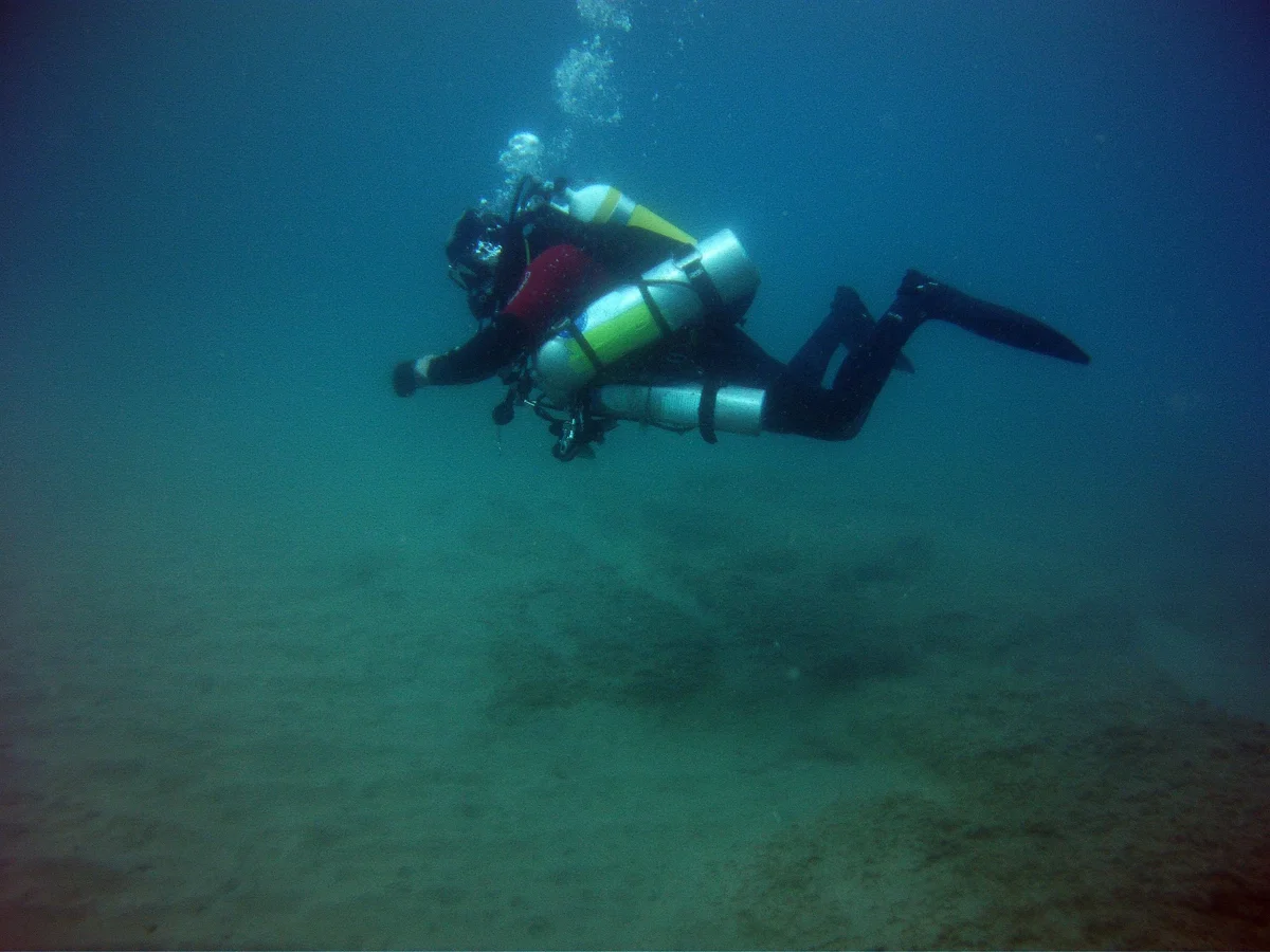 BUCEO MOJACAR