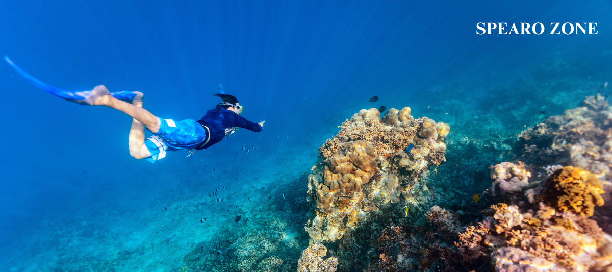 Freedive Level 1