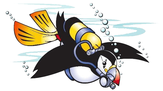 Puffin Dive Centre