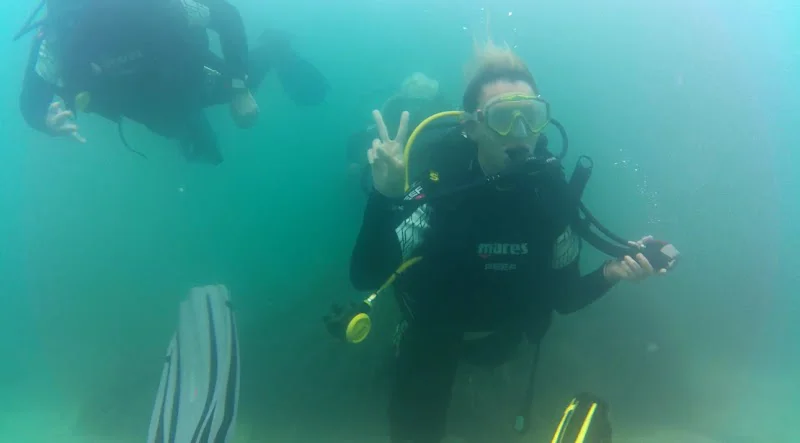 Revolution Dive - Altea logo