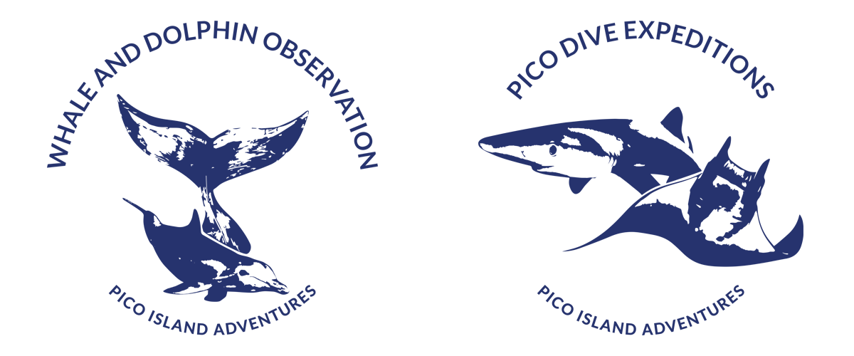 Pico Island Adventures logo