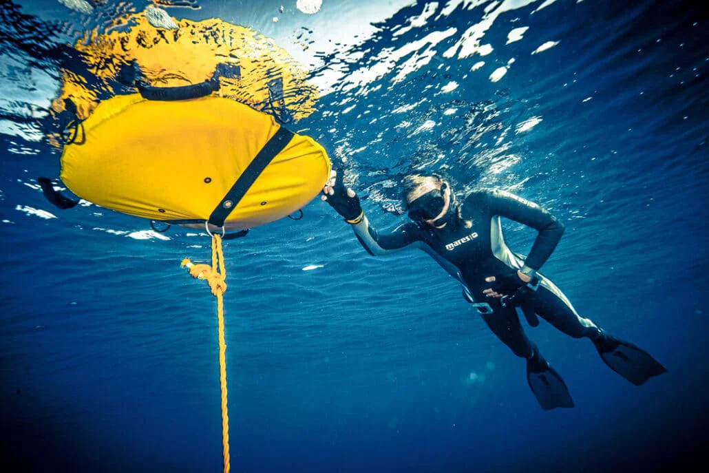 Introducción al buceo libre (estrella 1)
