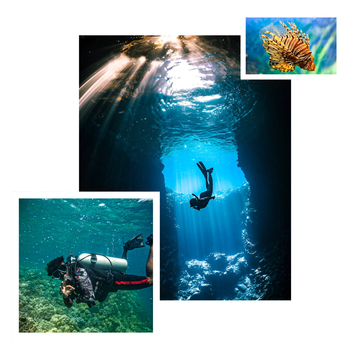United Scuba